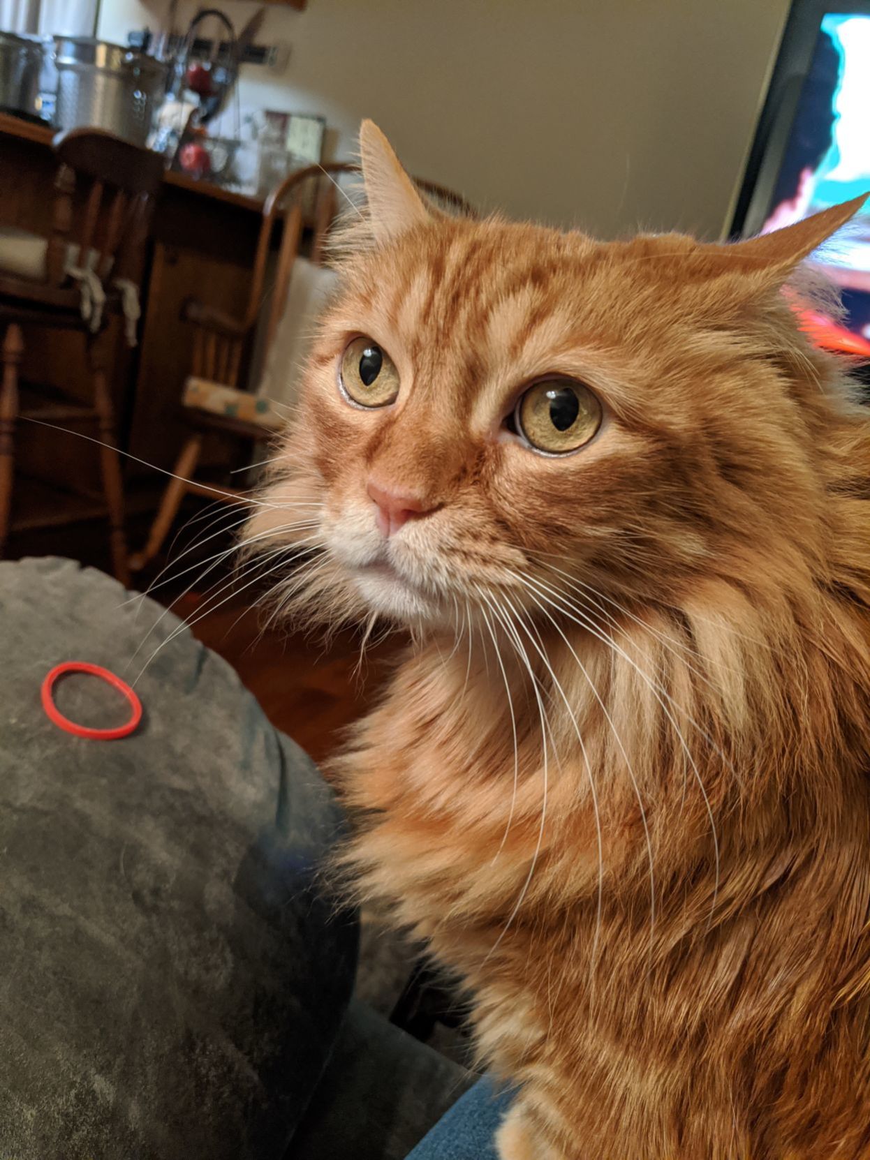 Pumpkin